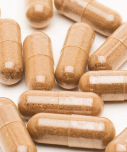 Brain Capsules (50mg-200mg)
