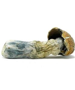 Jumbo Blue Meanie Magic Mushroom